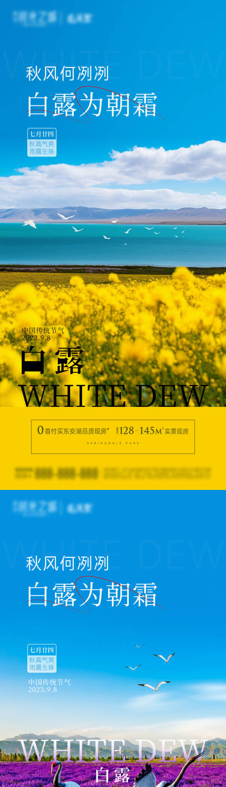 源文件下载【白露节气海报】编号：20230830095143027