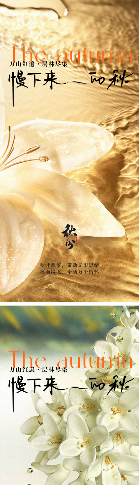 源文件下載【享設計】搜索編號：49250018895469364【秋分節氣海報 】