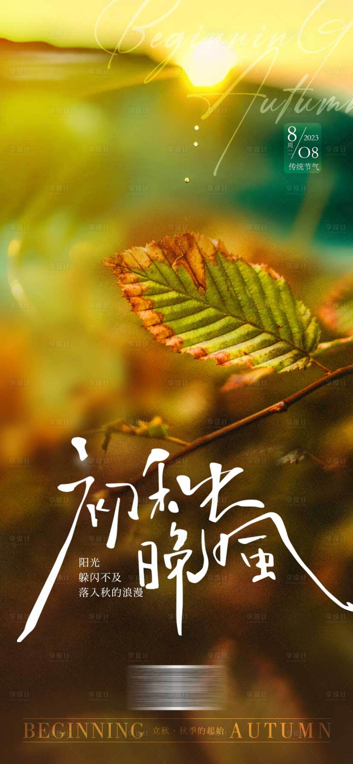 源文件下載【立秋節(jié)氣海報】編號：85920018569167405