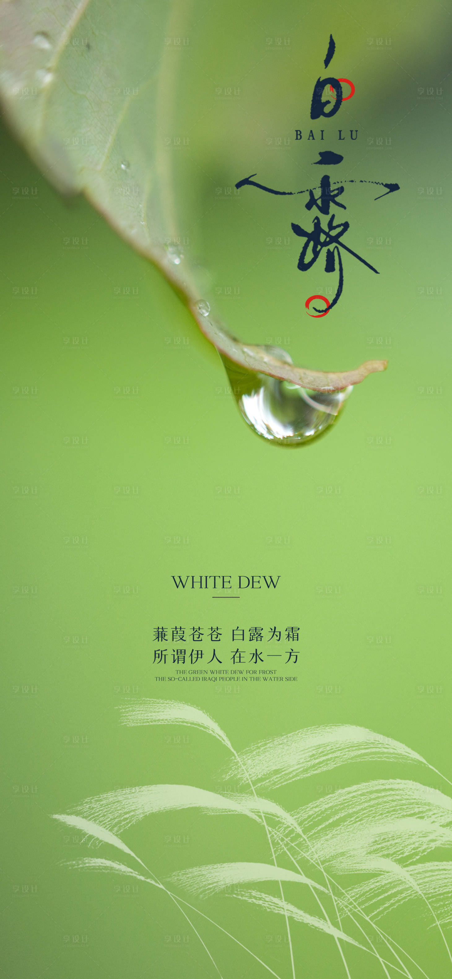 源文件下载【白露节气海报】编号：17850018622286873