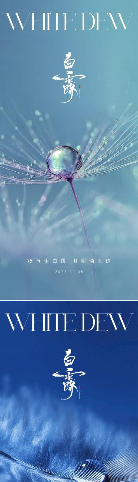 源文件下載【享設(shè)計(jì)】搜索編號(hào)：85720018775364707【白露海報(bào)】