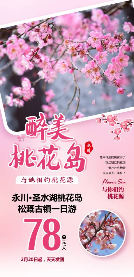 源文件下载【桃花岛旅游海报】编号：24500018629163249
