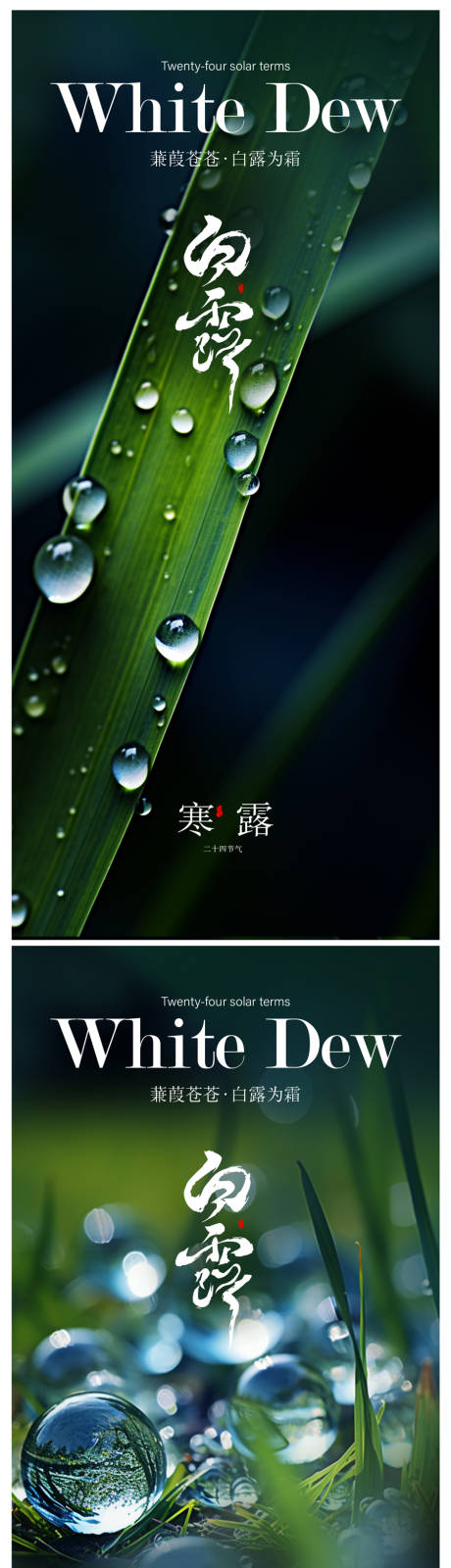 源文件下载【白露寒露海报】编号：81370018923745143