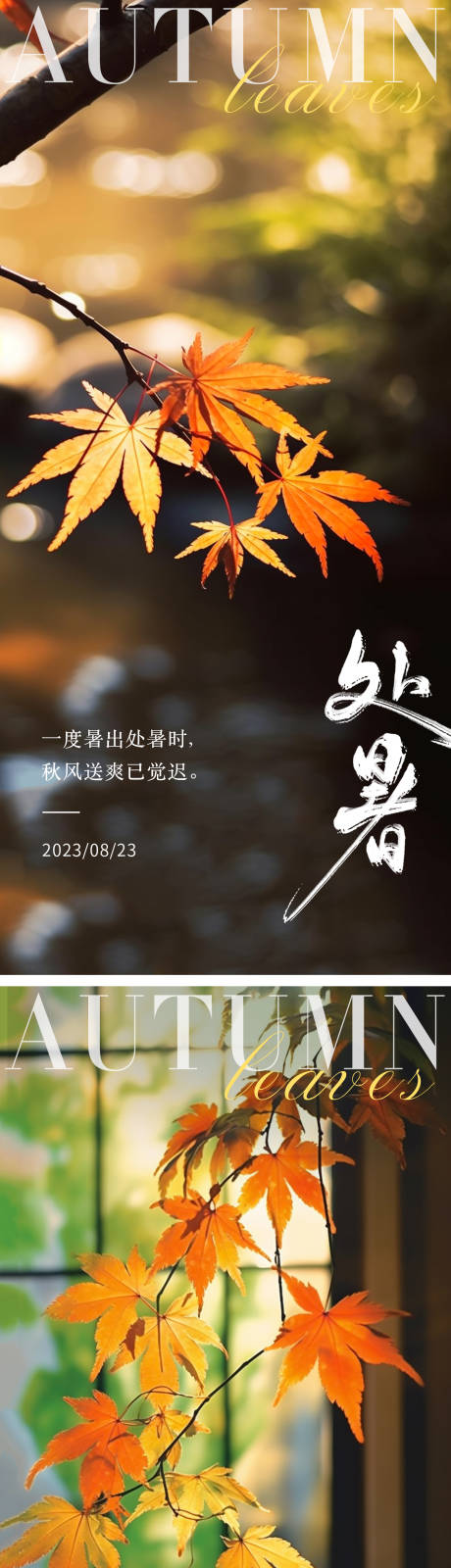 源文件下載【享設計】搜索編號：65810018754208965【24節氣處暑楓葉海報】