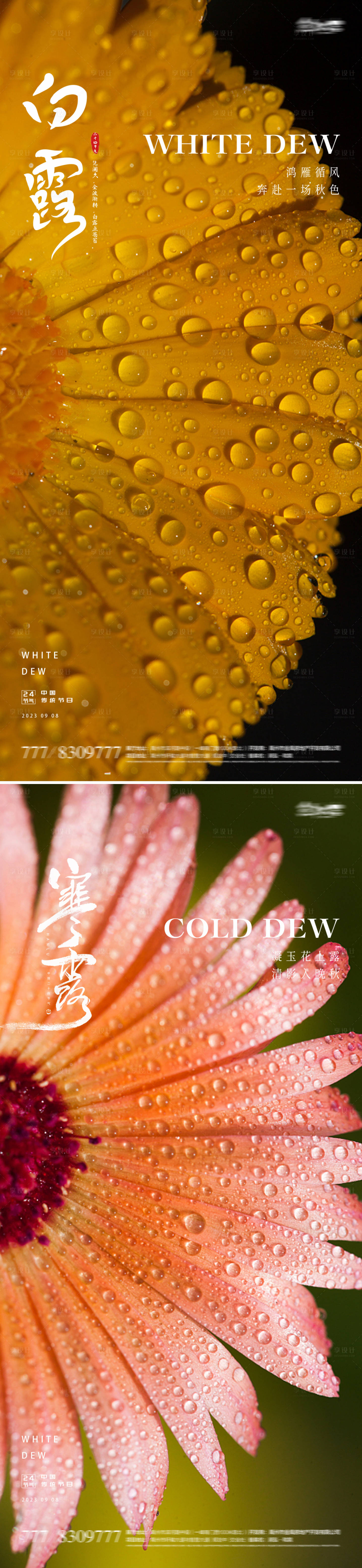 源文件下載【享設(shè)計(jì)】搜索編號：92860018903154242【白露寒露海報】