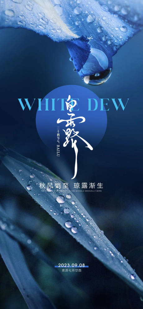 源文件下载【白露节气海报】编号：27400018869594899
