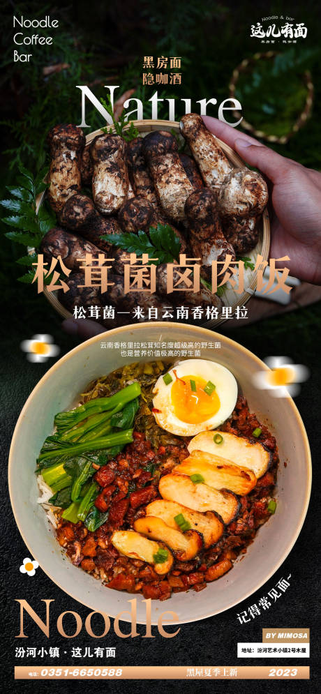 源文件下载【松茸菌卤肉饭海报】编号：70430018596859630