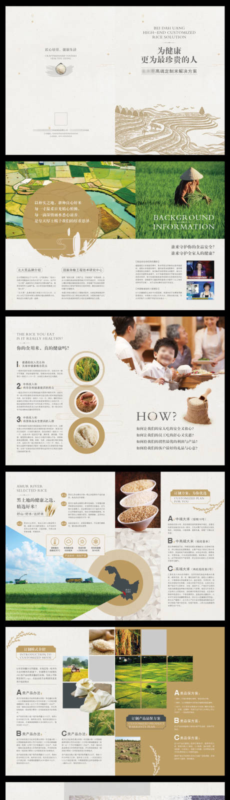 源文件下载【高端定制大米画册】编号：96820018806723044