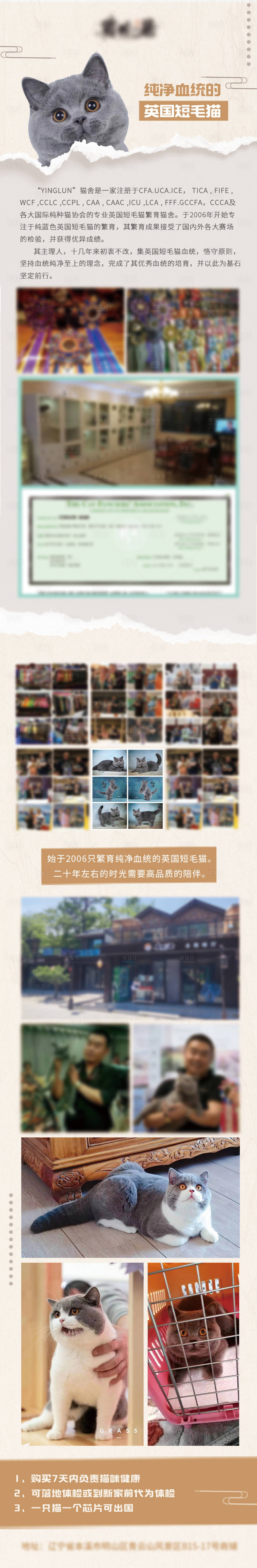 源文件下载【享设计】搜索编号：12600018815834257【宠物猫咪长图】