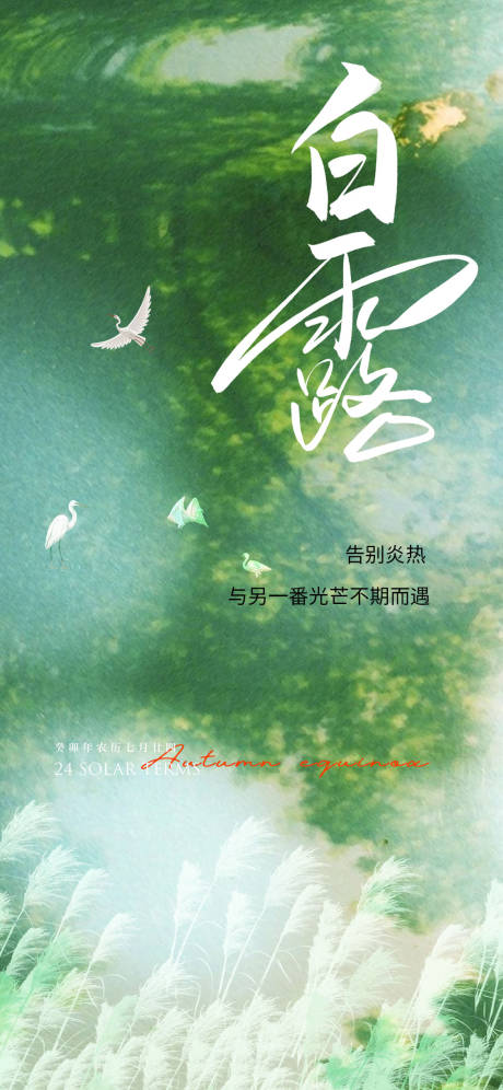 源文件下载【白露海报】编号：51490018834362913