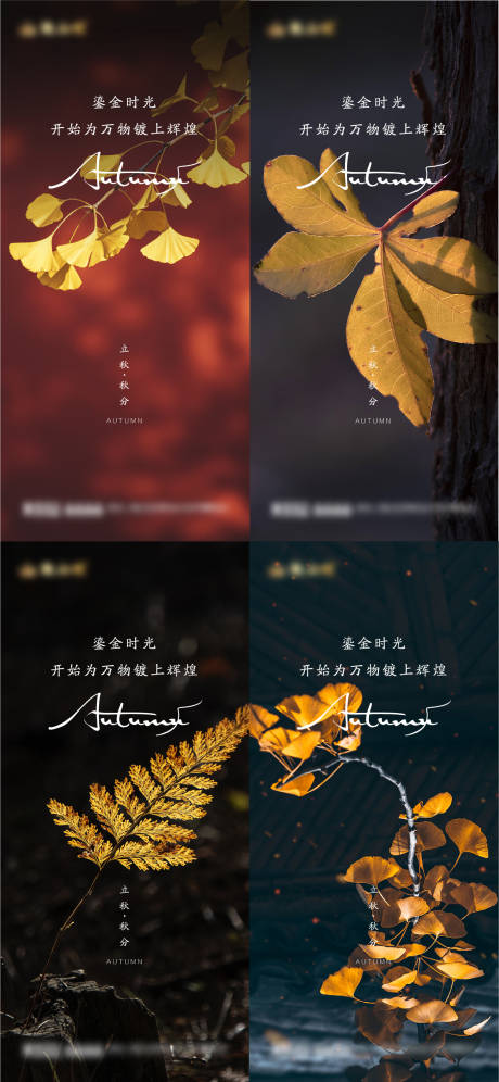 源文件下载【立秋秋分处暑节气海报】编号：56950018511701934