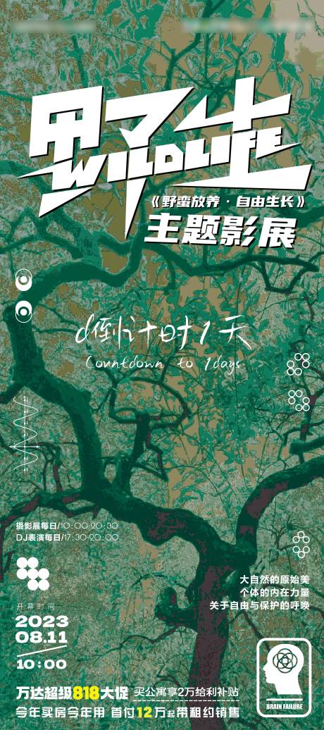 源文件下载【摄影活动海报】编号：57610018665604918