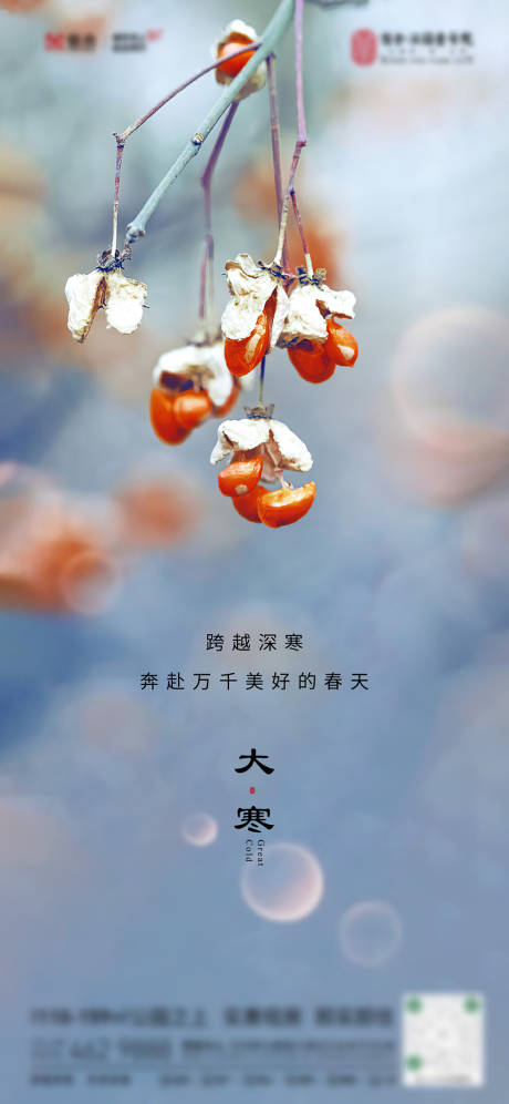 源文件下载【大寒海报】编号：18380018787425032