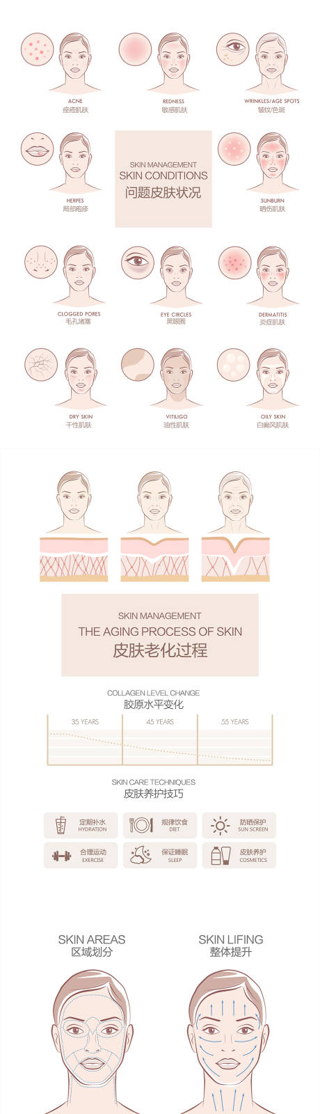 源文件下载【皮肤管理皮肤抗衰皮肤状态示意电商详情】编号：94610018465331779