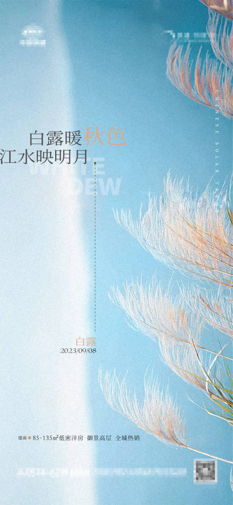 源文件下载【地产白露海报】编号：20230829130157888