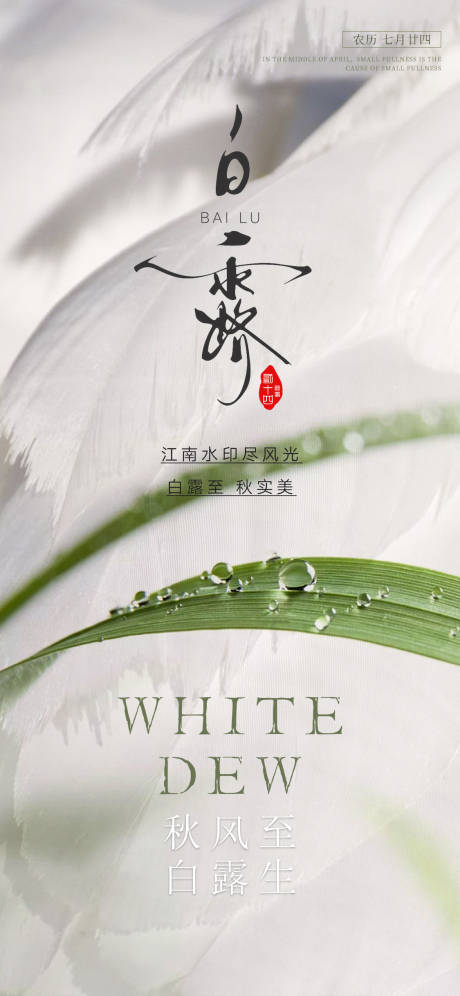 源文件下载【白露节气海报】编号：42500018821786594