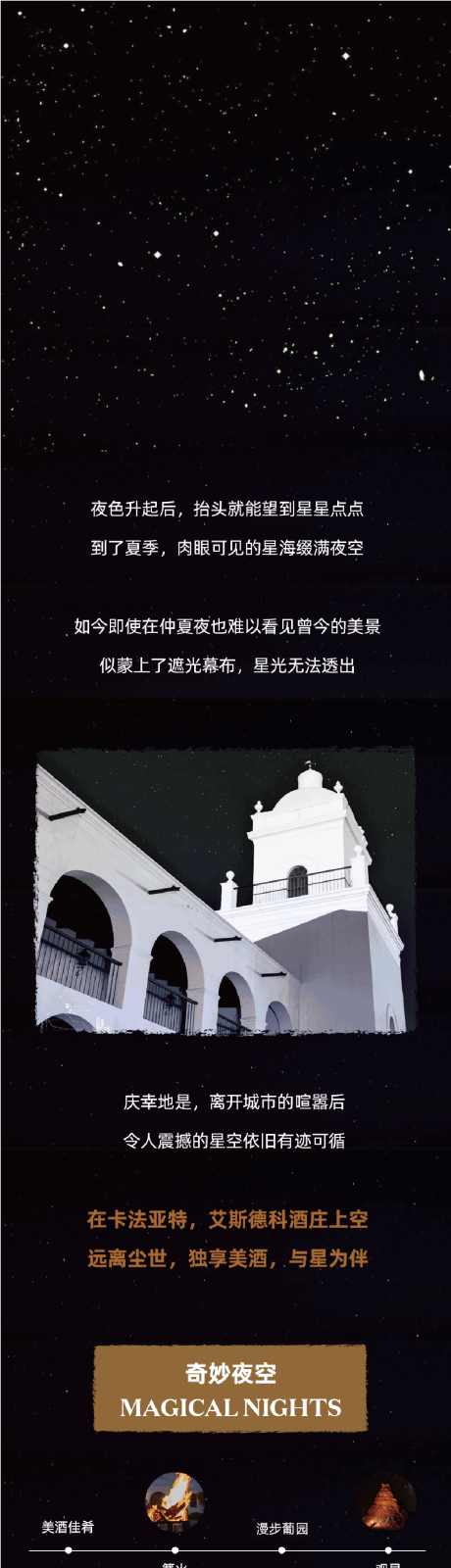 源文件下载【仲夏夜之星长图海报】编号：65790019058883115