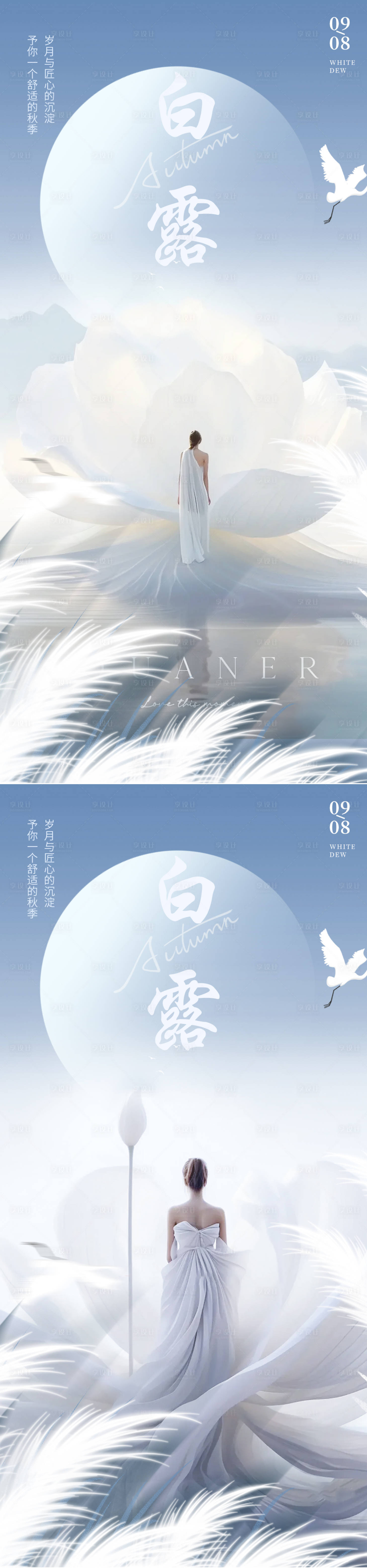 源文件下載【白露節氣系列海報】編號：91870018978681716