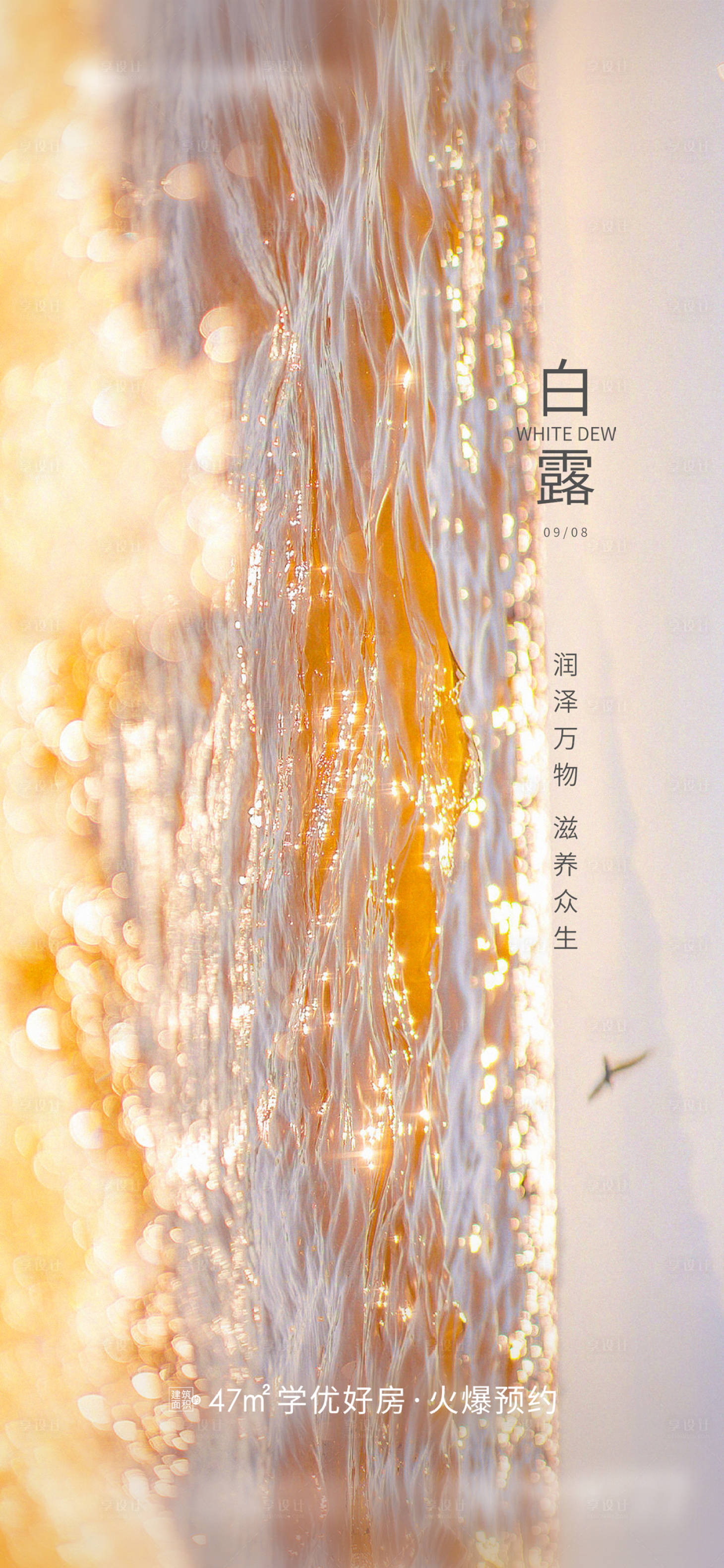 源文件下载【地产白露节气海报】编号：94080019063035765