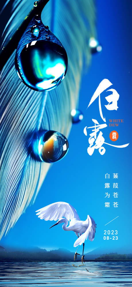 源文件下载【白露节气简约海报】编号：91990019012041296