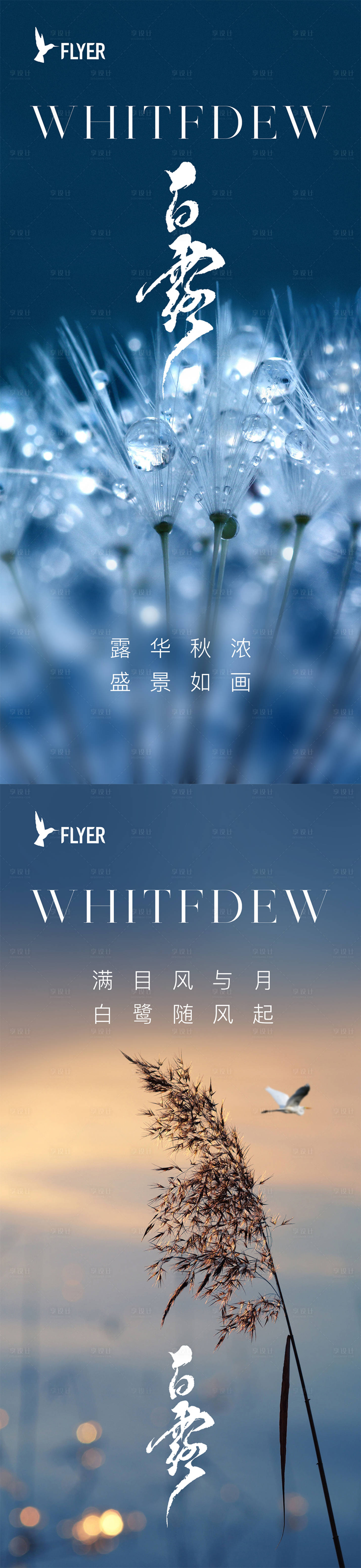 源文件下載【享設計】搜索編號：24340018991655520【白露節氣海報】
