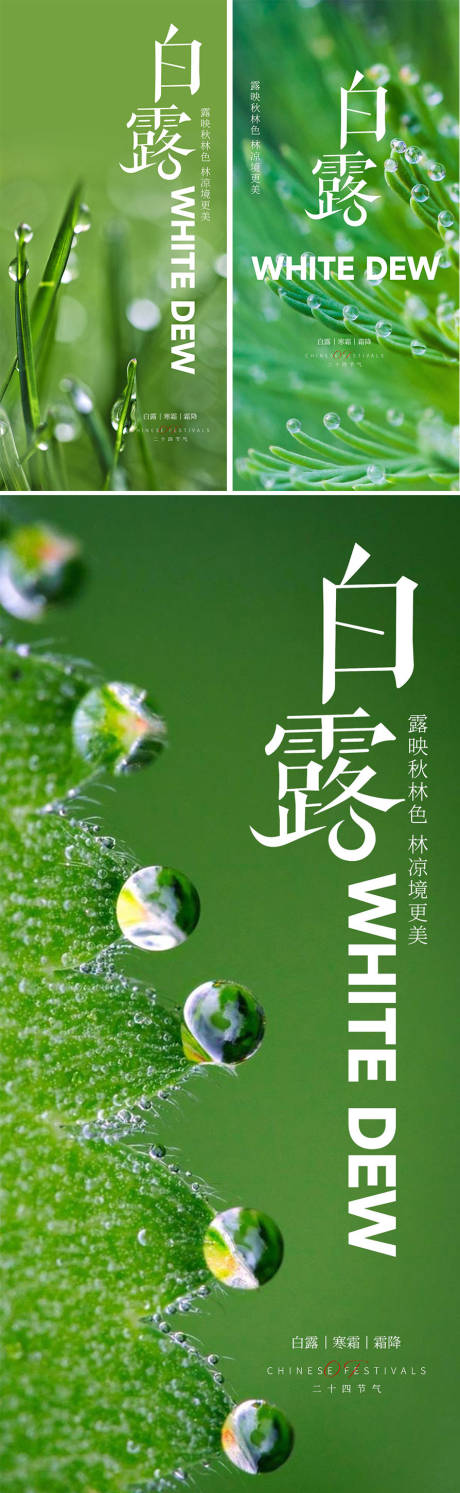 源文件下载【白露节气海报】编号：21860018969152238