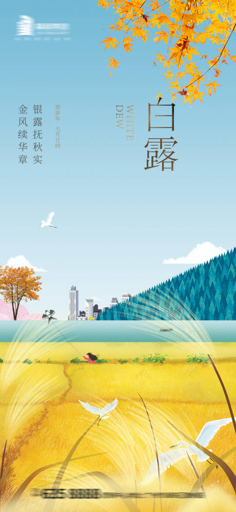 源文件下载【白露海报】编号：82430019079891506
