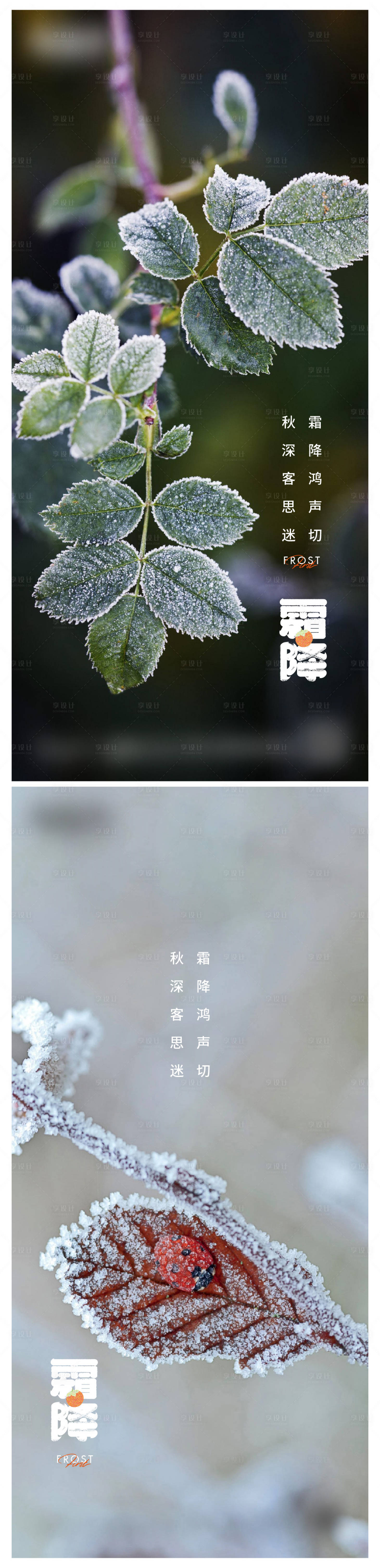 源文件下載【享設(shè)計(jì)】搜索編號(hào)：51720018949717655【霜降節(jié)氣微信海報(bào)】