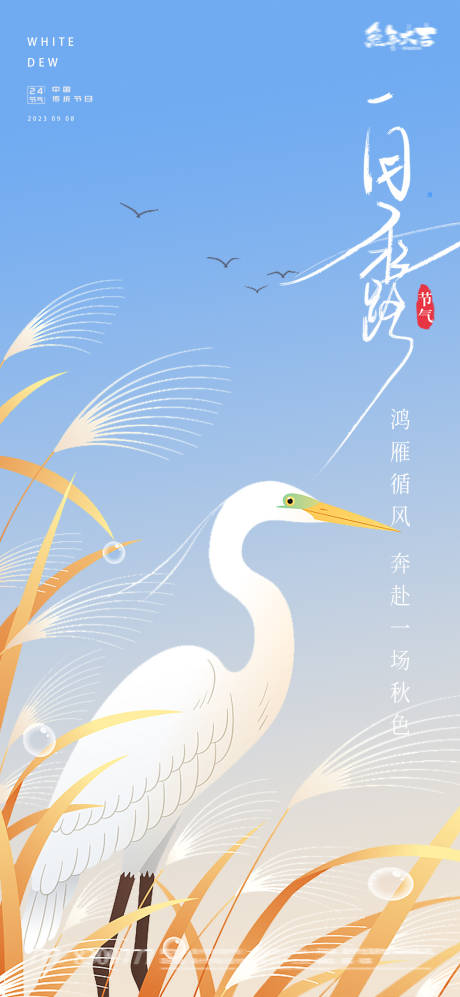 源文件下载【白露插画海报】编号：20230823154141987