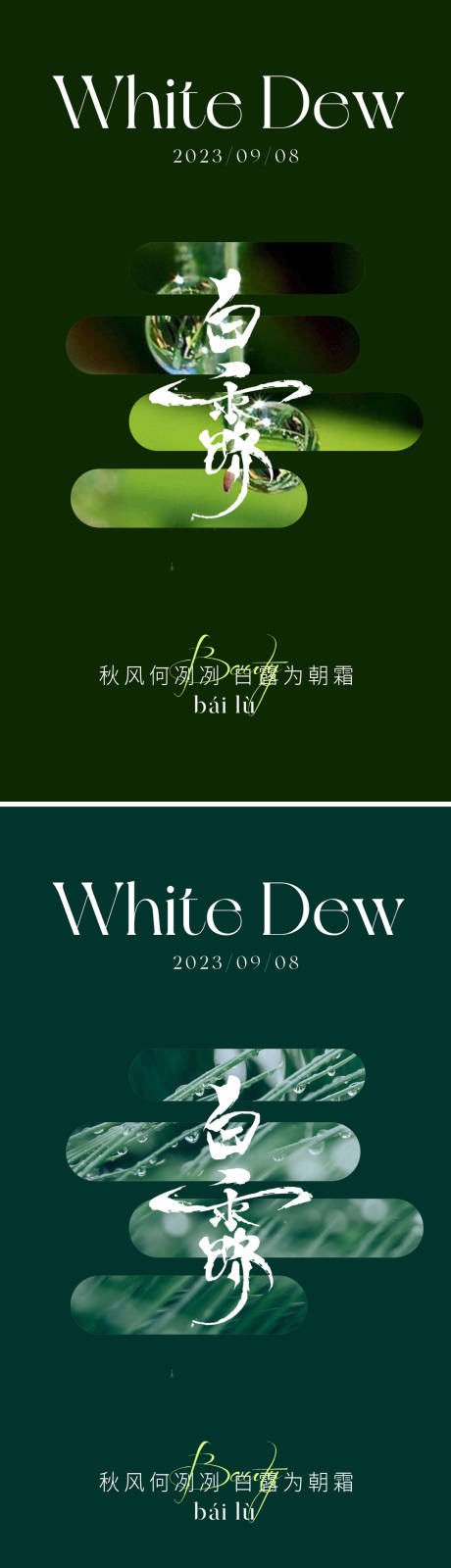 源文件下载【白露节气海报】编号：99770018946851624
