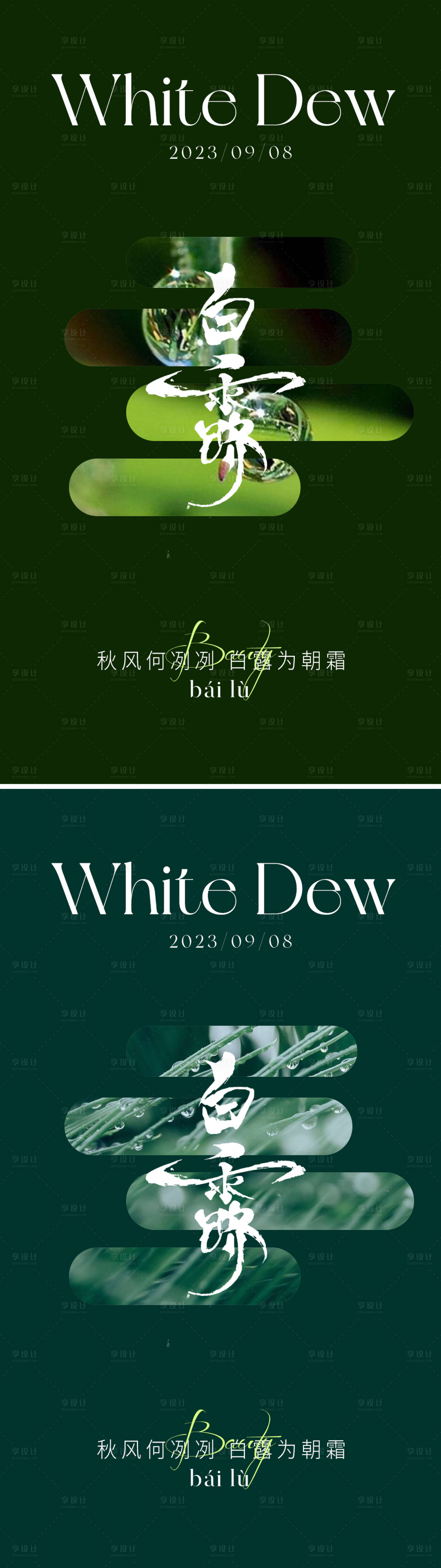 源文件下載【享設計】搜索編號：99770018946851624【白露節氣海報】