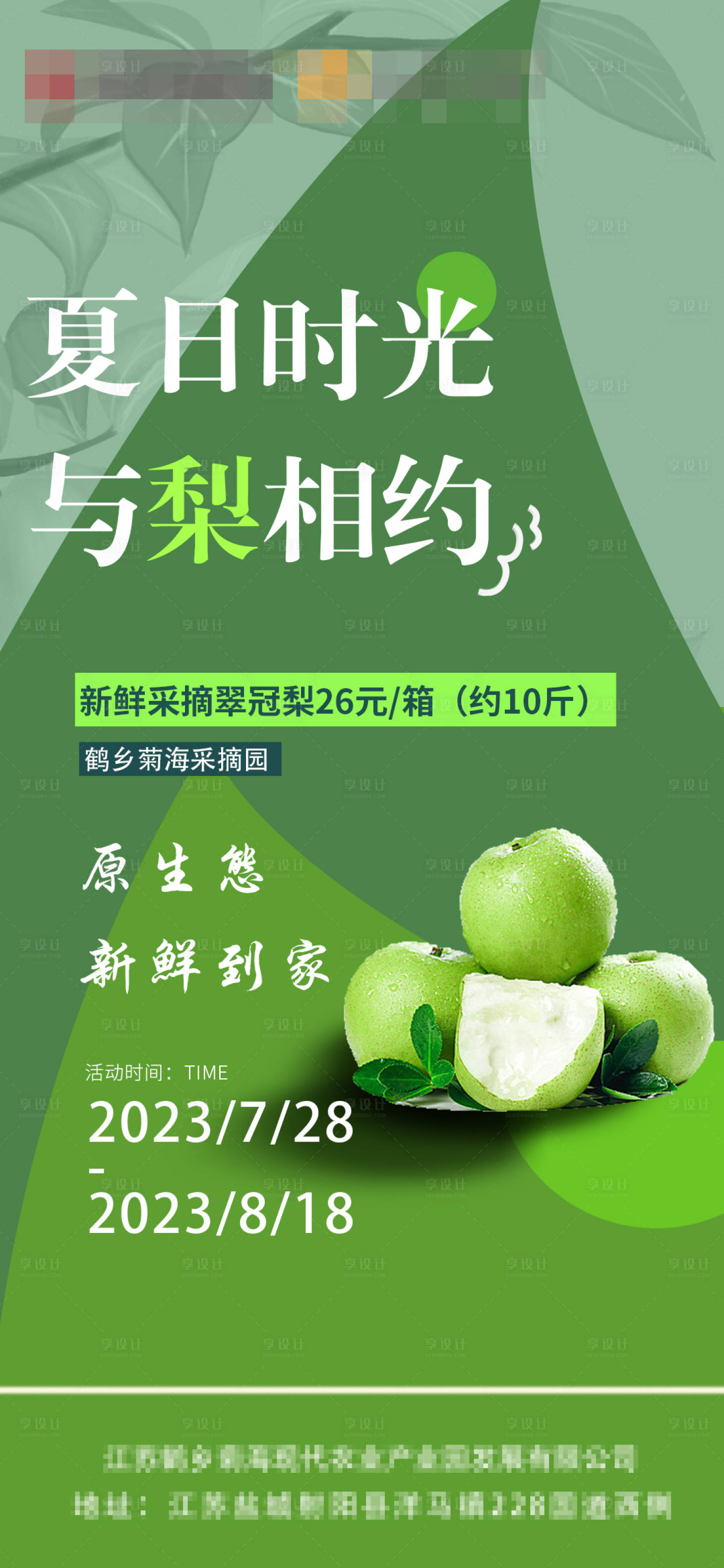 源文件下载【翠冠梨采摘海报】编号：82820018471588215