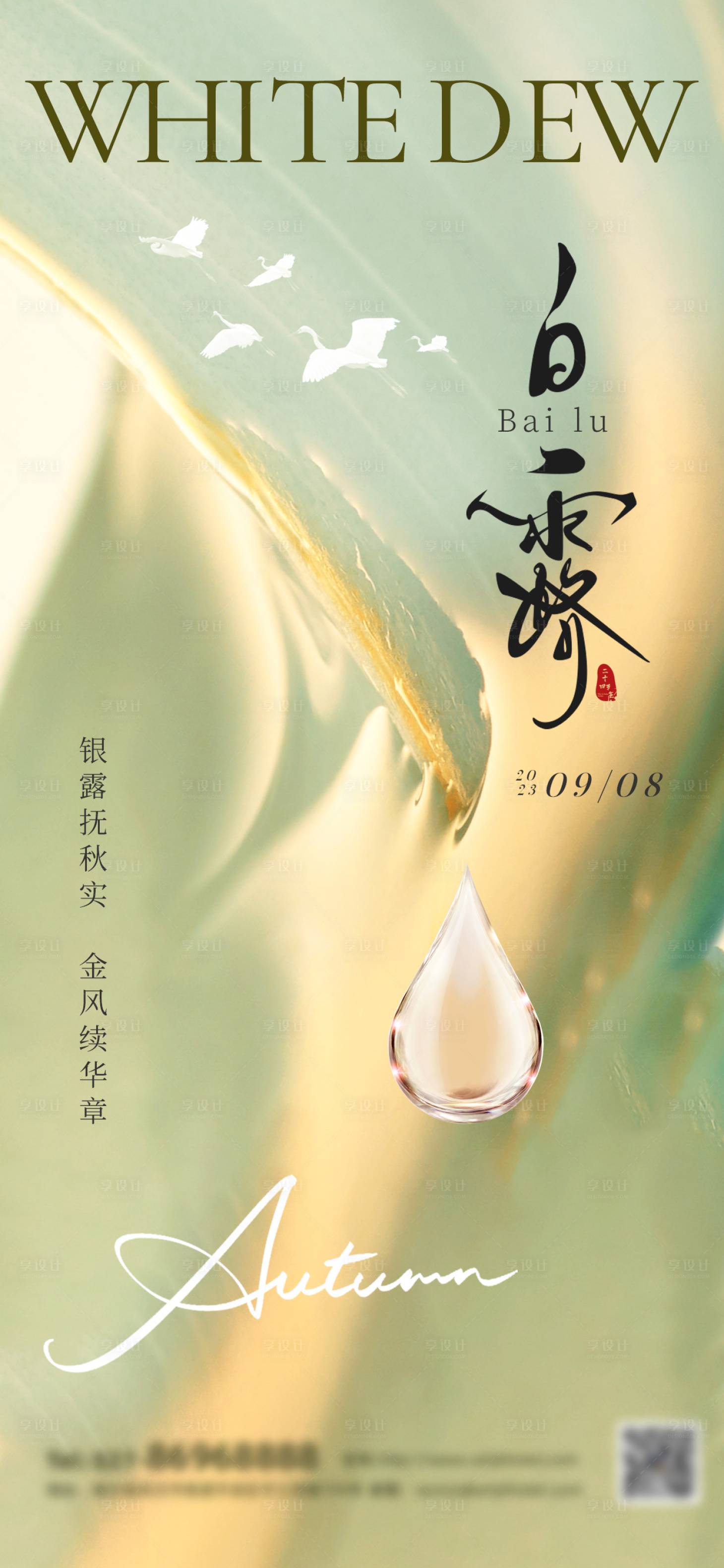 源文件下载【白露节气海报】编号：15040018954945102