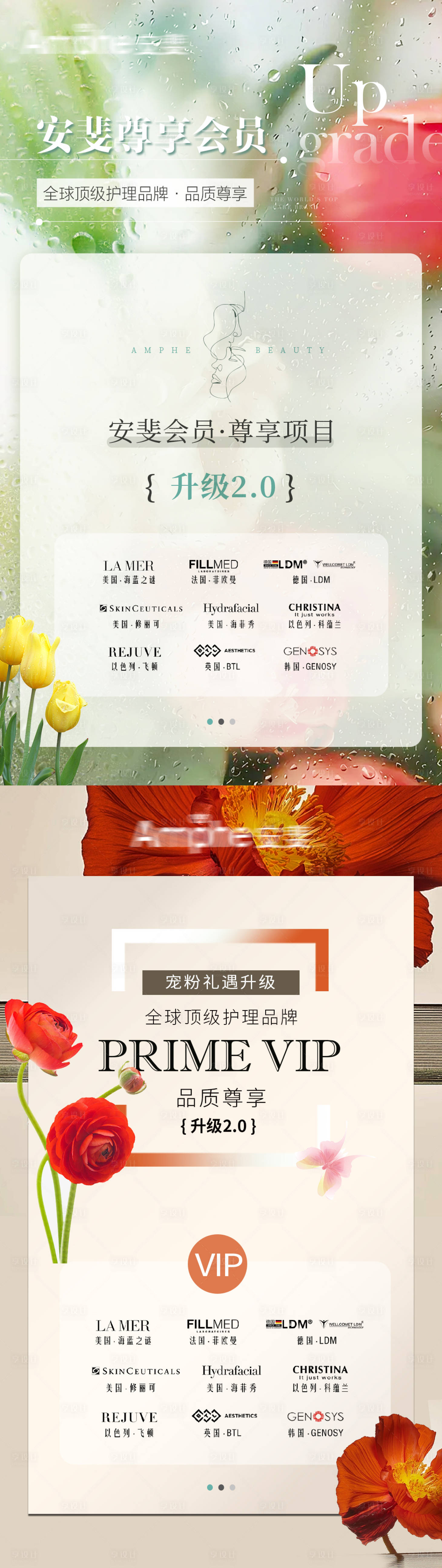 源文件下载【医美会员海报】编号：69910018826225648