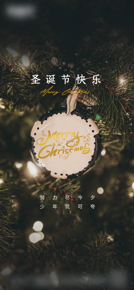 源文件下載【享設計】搜索編號：38230018644431771【圣誕節海報】