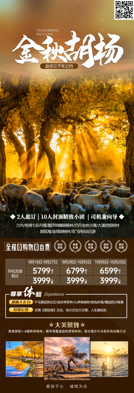 源文件下载【金秋胡杨旅游海报】编号：87740018994569818