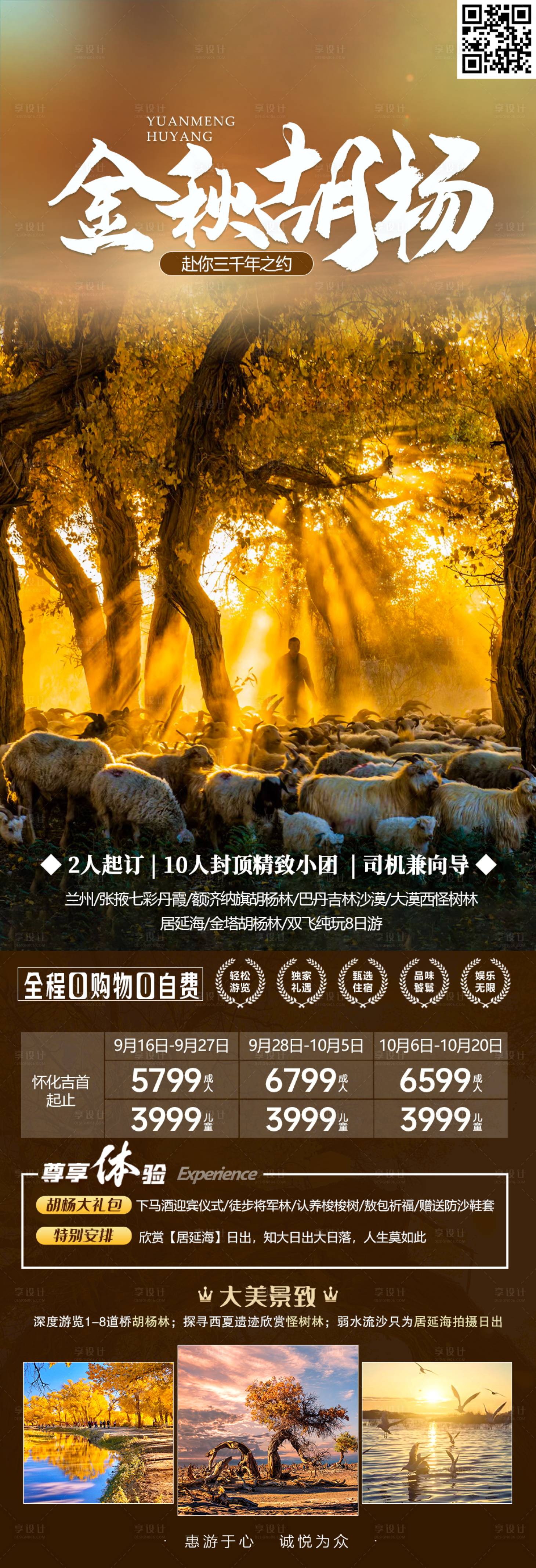 源文件下載【享設(shè)計】搜索編號：87740018994569818【金秋胡楊旅游海報】