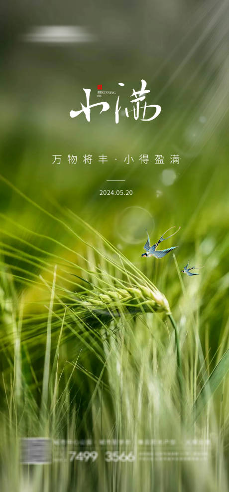 源文件下載【小滿節氣海報】編號：82570019071745076