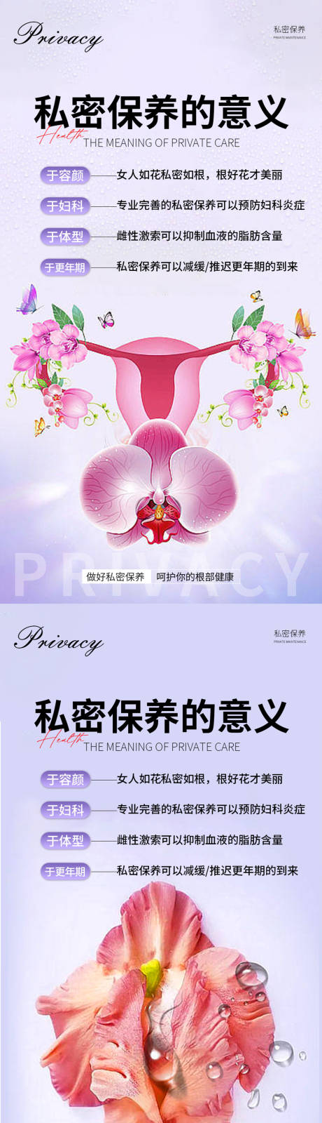 源文件下载【私密养护系列海报】编号：23090018909252708