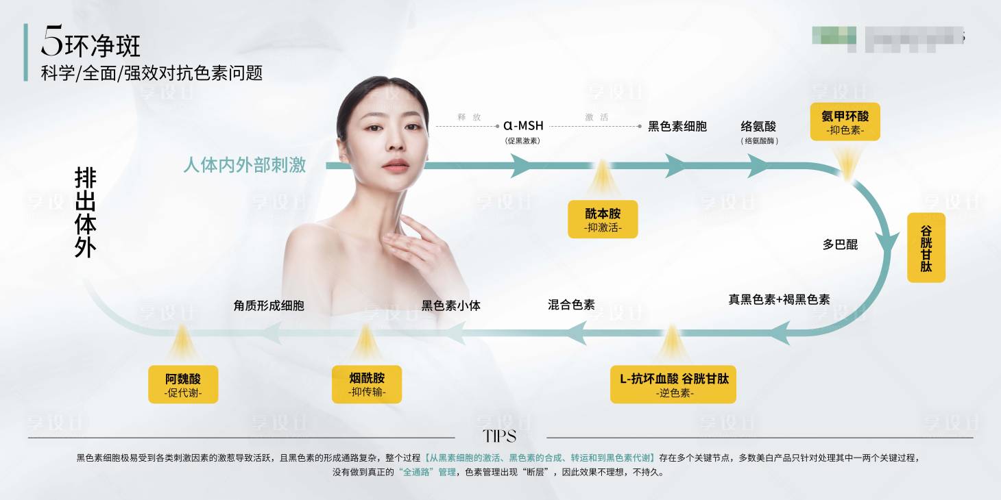 源文件下載【黑色素形成/抑制原理圖】編號：94900018633597811