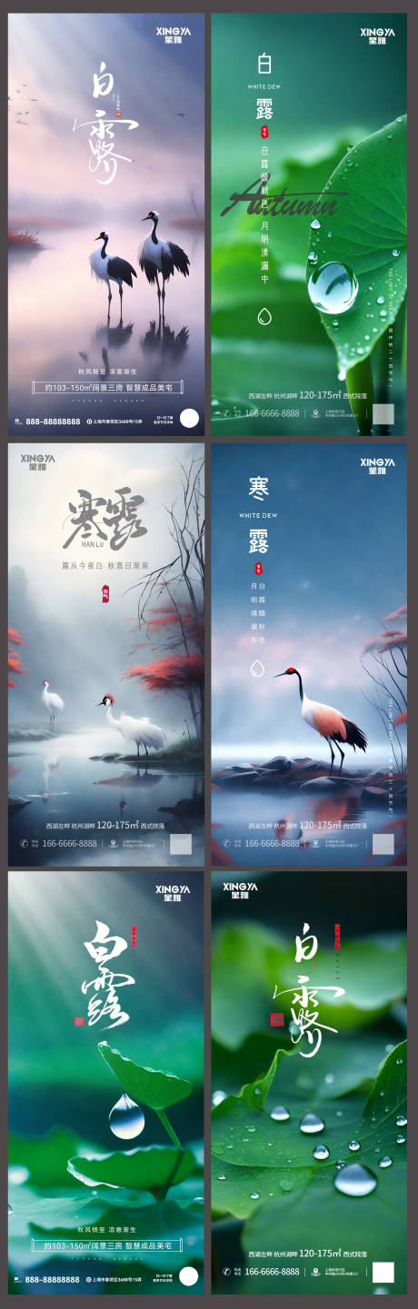 源文件下载【地产白露寒露节气意境海报】编号：89910018602124317
