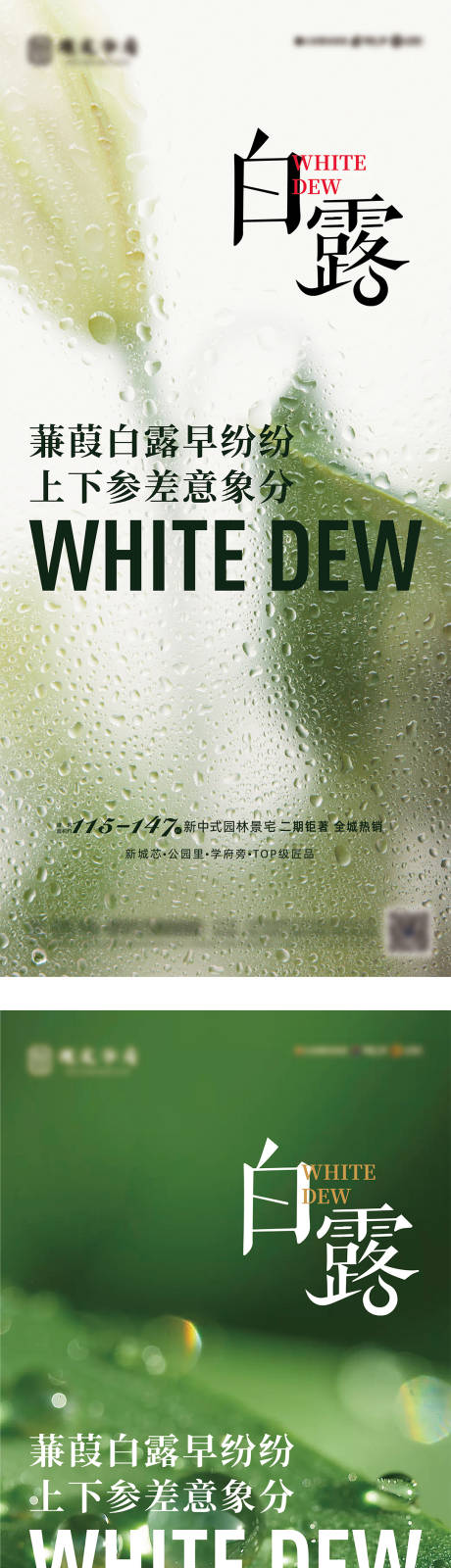 源文件下载【白露海报】编号：65280018905594122