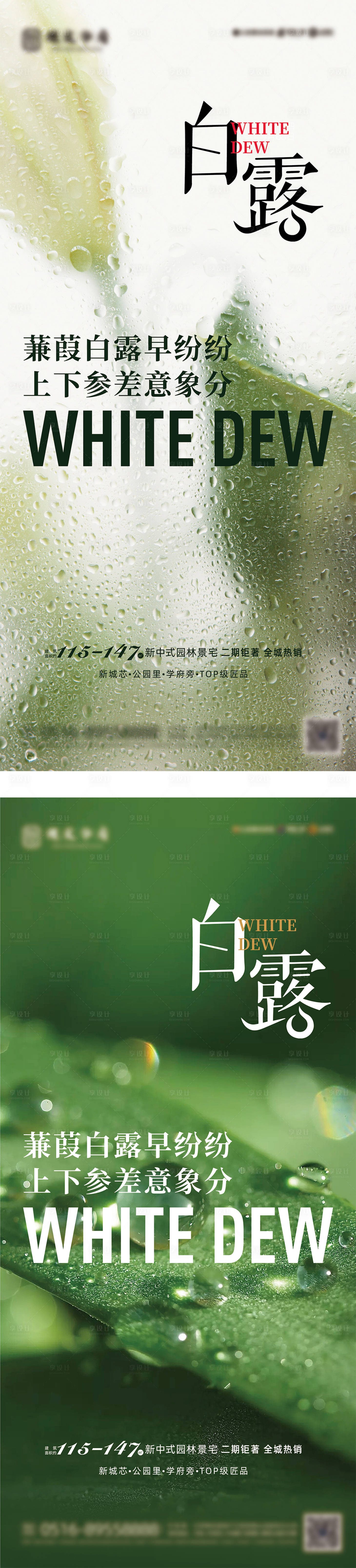 源文件下载【白露海报】编号：65280018905594122