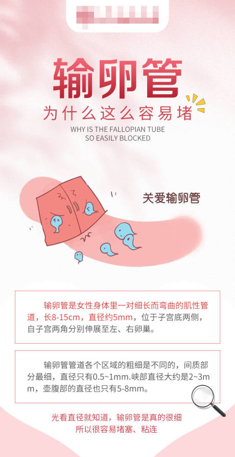源文件下载【享设计】搜索编号：17260018583779057【输卵管科普医疗海报】