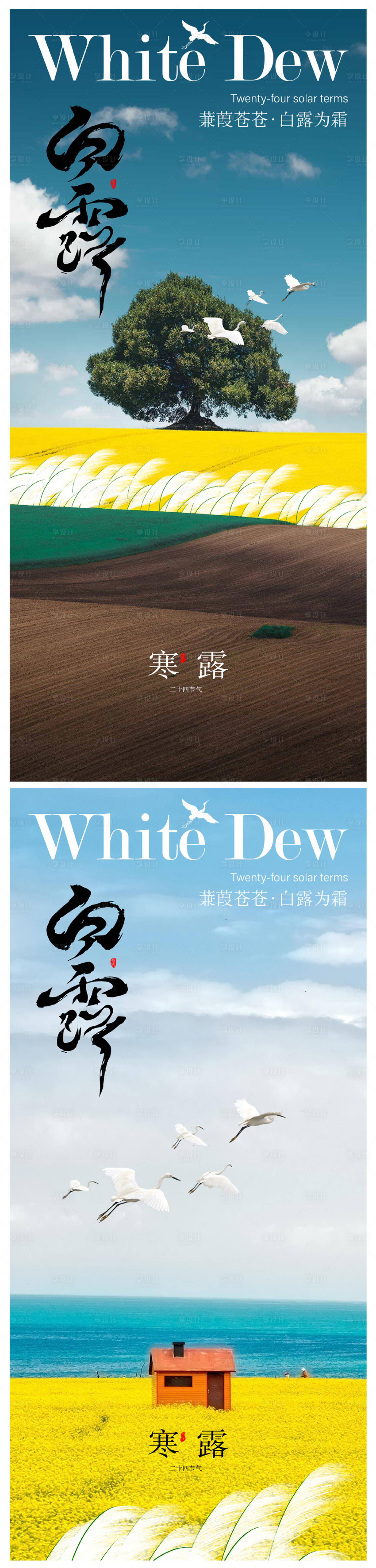 源文件下載【享設計】搜索編號：78910018923879744【白露寒露海報】