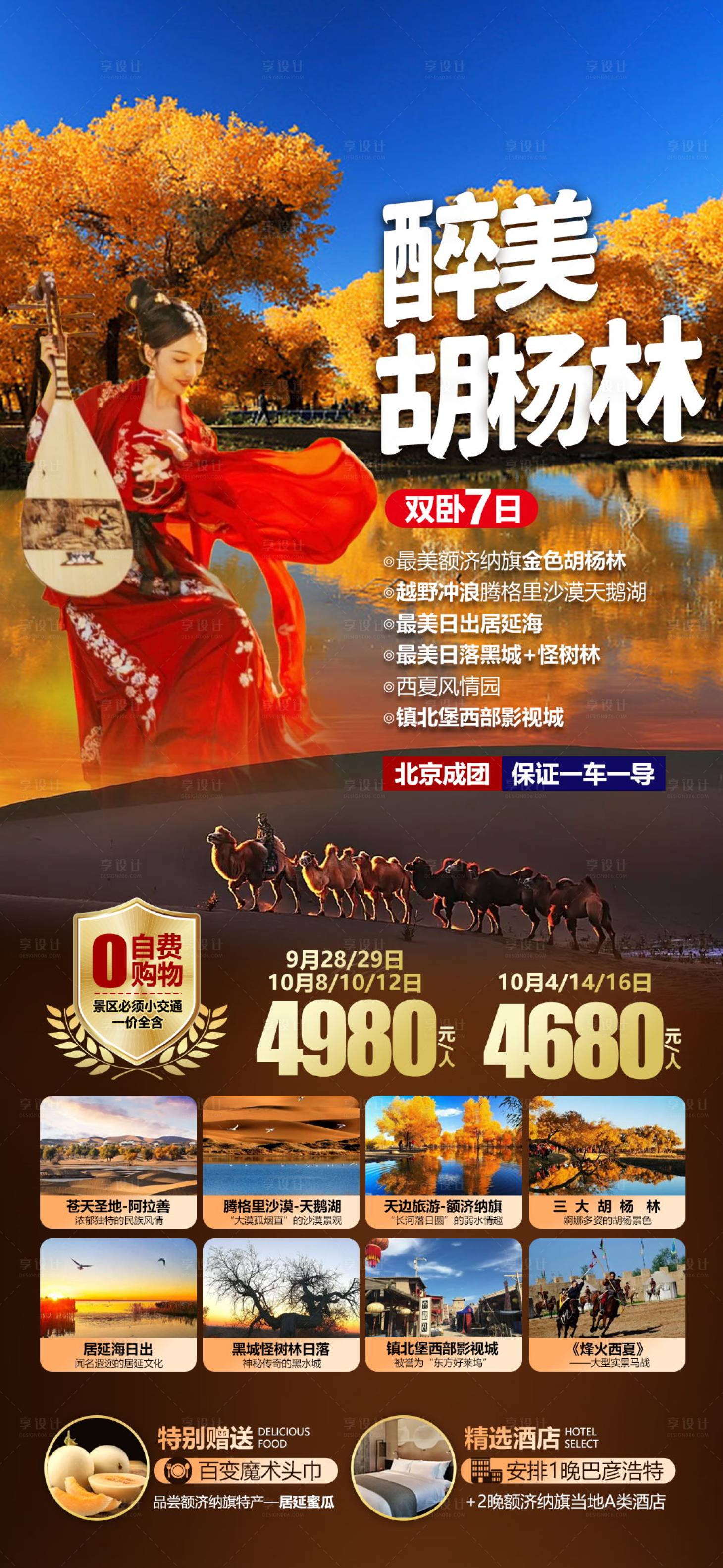 源文件下载【额济纳胡杨林旅游海报】编号：94430018866779526