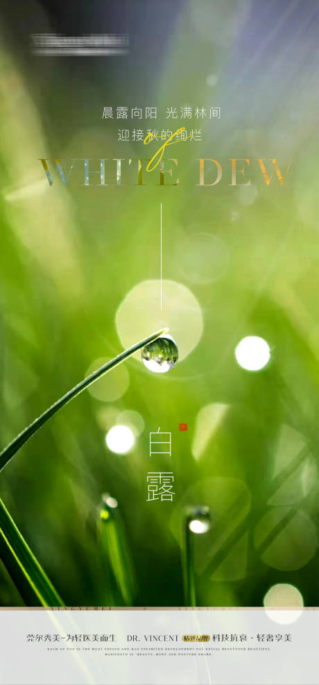 源文件下载【享设计】搜索编号：24290019070626367【医美白露海报】