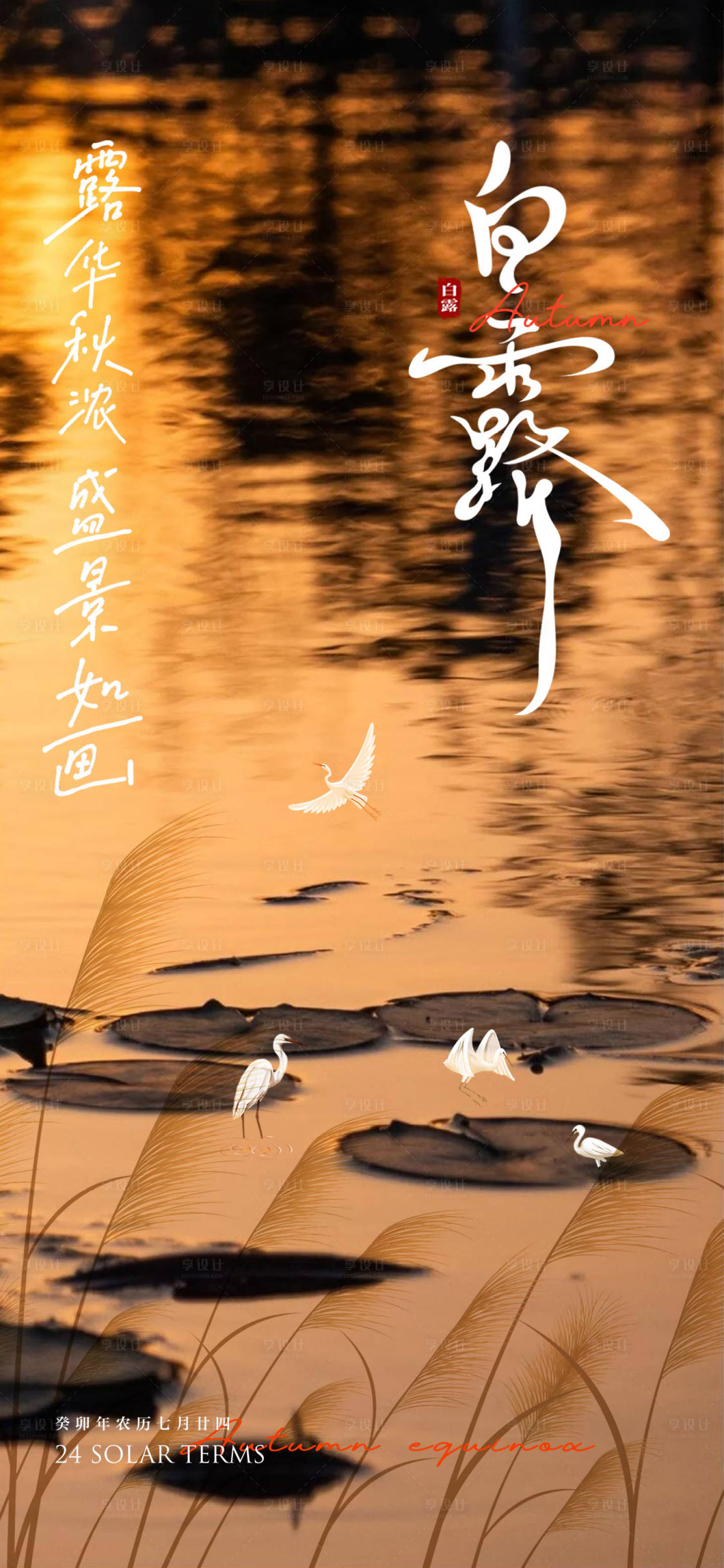 源文件下载【白露节气海报】编号：40470018833686484