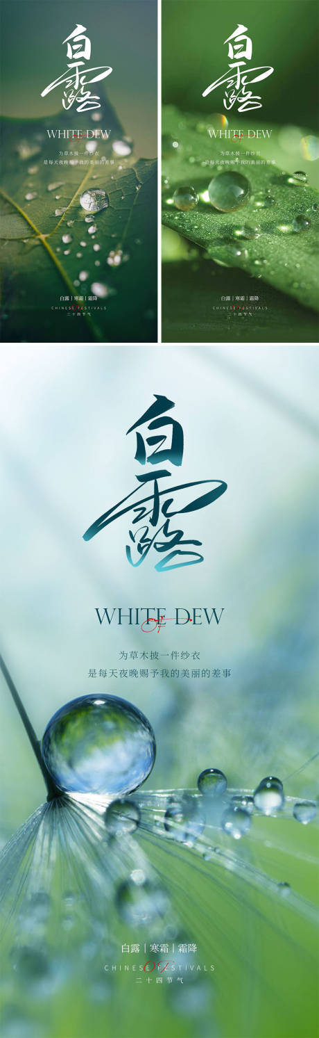 源文件下载【享设计】搜索编号：17130018969086545【白露节气海报】