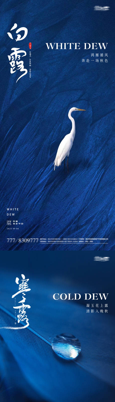 源文件下载【白露寒露24节气海报】编号：13460018903124425
